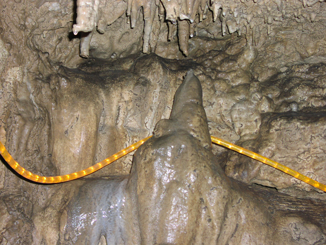 Пещера Нежная (фото 7) (Тюлень)