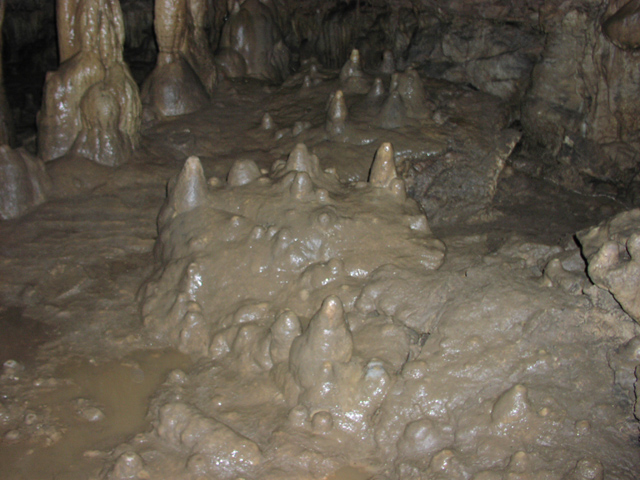 Пещера Нежная (фото 11)