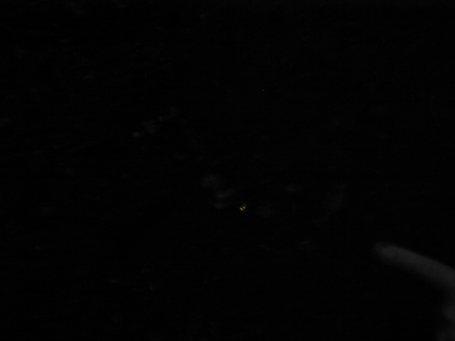 Ловля светящихся сверчков (фото 4) (кого-то поймали в кадр)